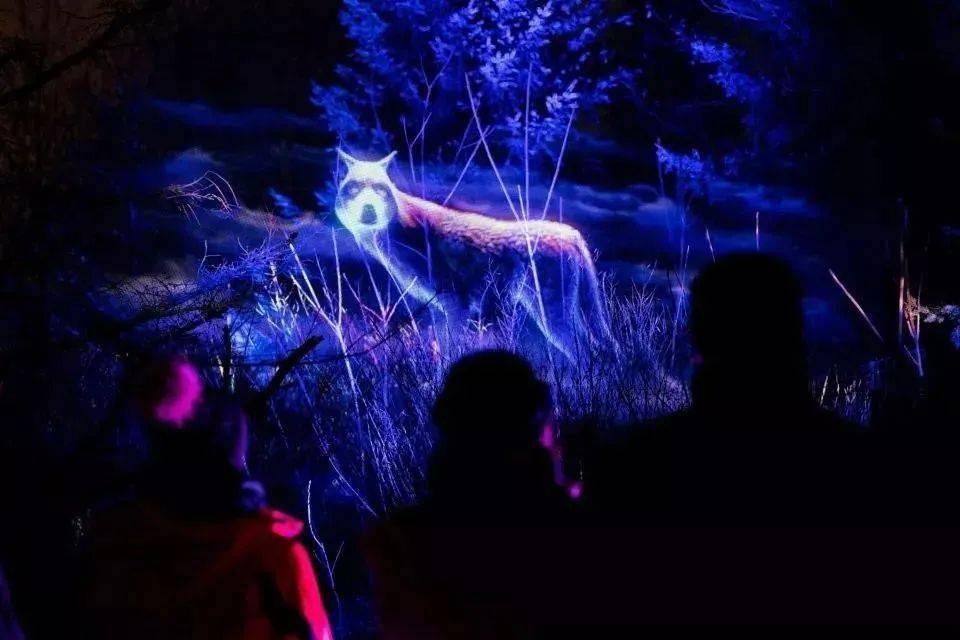 c5d140f31e274e71af701a609f98e6c9.jpeg c5d140f31e274e71af701a609f98e6c9.jpeg