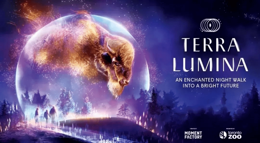 5f0698f8c1764aca95b61dfe17dfed62.png 5f0698f8c1764aca95b61dfe17dfed62.png