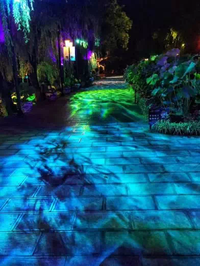 7614dee4-9bfd-4e38-9622-16c6797d6da3.png 7614dee4-9bfd-4e38-9622-16c6797d6da3.png